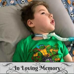 Meet your Posher, Niki